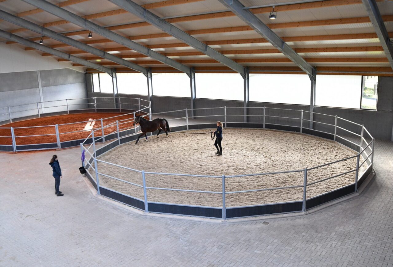 Foto (Paardenkliniek Wolvega): het paard bekijken aan de longe
