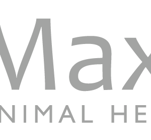 Maxani logo