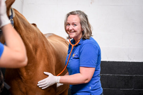 Berit Boshuizen - Paardenkliniek Wolvega profiel foto