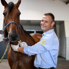 Paardenarts.nl-Finder-Paardenkliniek-Wolvega-Profielfoto-Marco-e1695297971300-300x240
