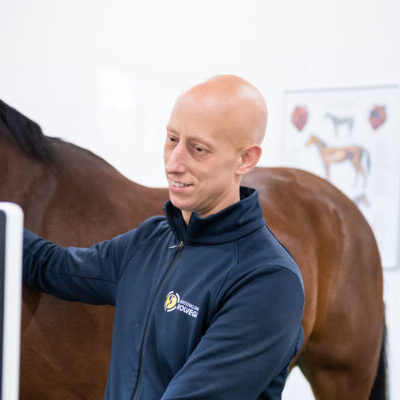 Paardenartspro- Paardenkliniek Wolvega - Profielfoto - Don vd Winkel