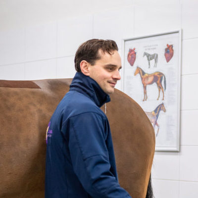 Paardenartspro- Paardenkliniek Wolvega - Profielfoto - Willem van Kampen
